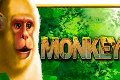 Monkey Playstar